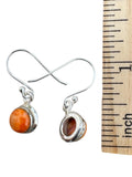 Sponge Coral Solid 925 Sterling Silver Earrings