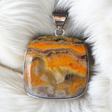 Bumblebee Jasper Solid 925 Sterling Silver Pendant