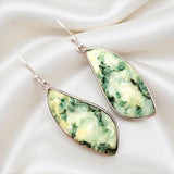 Moss Agate Solid 925 Sterling Silver Earrings