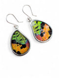 Butterfly Wing Solid 925 Sterling Silver Earrings