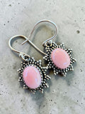 Pink Queen Conch Solid 925 Sterling Silver Earrings