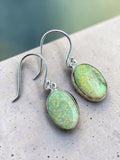 Monarch Opal Solid 925 Sterling Silver Earrings