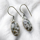 Crazy Lace Agate Solid 925 Sterling Silver Earrings