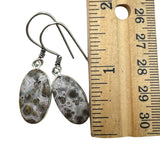 Crazy Lace Agate Solid 925 Sterling Silver Earrings