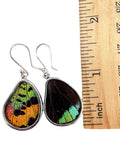 Butterfly Wing Solid 925 Sterling Silver Earrings