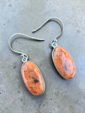 Sponge Coral Solid 925 Sterling Silver Earrings