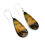 Tiger Eye Solid 925 Sterling Silver Earrings