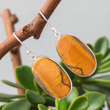 Tiger Eye Solid 925 Sterling Silver Earrings