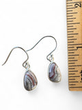 Crazy Lace Agate Solid 925 Sterling Silver Earrings