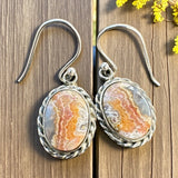 Crazy Lace Agate oval Solid 925 Sterling Silver Earrings