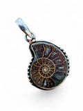 Ammonite Solid 925 Sterling Silver Pendant