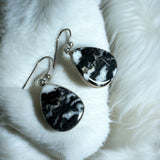 White Buffalo Solid 925 Sterling Silver Earrings