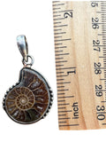 Ammonite Solid 925 Sterling Silver Pendant