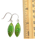 Green Mojave Turquoise Solid 925 Sterling Silver Earrings
