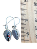 Fordite Solid 925 Sterling Silver Earrings