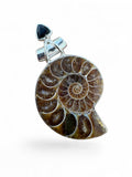 Ammonite & Onyx Solid 925 Sterling Silver Pendant