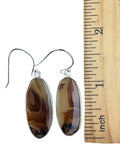 Montana Agate Solid 925 Sterling Silver Earrings