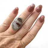 Crazy Lace Agate Solid 925 Sterling Silver Ring 6