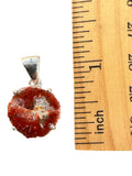 Red Horn Coral Solid 925 Sterling Silver Pendant