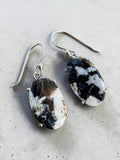 White Buffalo Solid 925 Sterling Silver Earrings