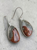 Peanut Jasper Solid 925 Sterling Silver Earrings