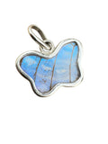 Blue Sulkowsky Butterfly Wing Solid 925 Sterling Silver Pendant