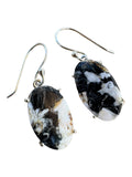White Buffalo Solid 925 Sterling Silver Earrings