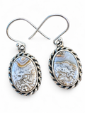 Crazy Lace Agate Solid 925 Sterling Silver Earrings