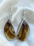 Montana Agate Solid 925 Sterling Silver Earrings