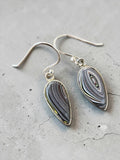 Fordite Solid 925 Sterling Silver Earrings