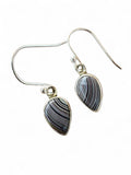 Fordite Solid 925 Sterling Silver Earrings