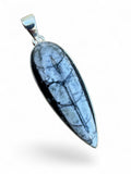 Making Waves Jewelry and Accessories teardrop Orthoceras fossil pendant in sterling silver with black and grey veining