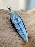 Making Waves Jewelry and Accessories teardrop Orthoceras fossil pendant in a polished sterling silver bezel setting.
