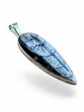 Making Waves Jewelry and Accessories teardrop pendant featuring a black and grey Orthoceras fossil in sterling silver.
