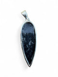 Making Waves Jewelry and Accessories teardrop Orthoceras fossil pendant in a polished sterling silver bezel setting.