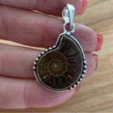 Ammonite Solid 925 Sterling Silver Pendant