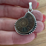 Ammonite Solid 925 Sterling Silver Pendant